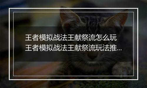 王者模拟战法王献祭流怎么玩  王者模拟战法王献祭流玩法推荐