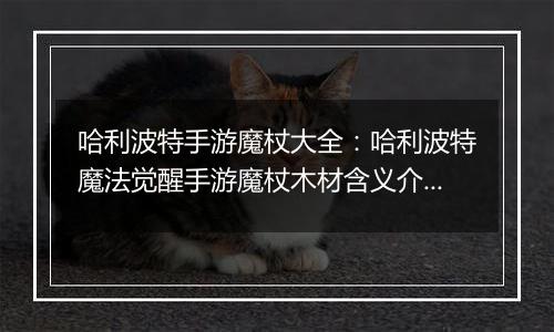 哈利波特手游魔杖大全：哈利波特魔法觉醒手游魔杖木材含义介绍(二)