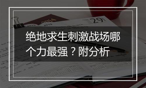 绝地求生刺激战场哪个力最强？附分析