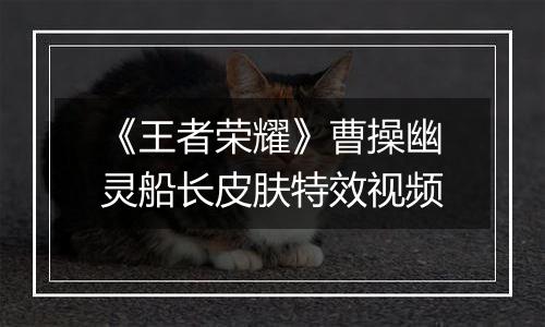 《王者荣耀》曹操幽灵船长皮肤特效视频