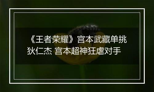 《王者荣耀》宫本武藏单挑狄仁杰 宫本超神狂虐对手