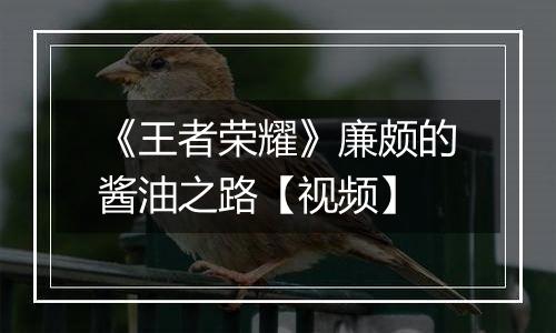 《王者荣耀》廉颇的酱油之路【视频】