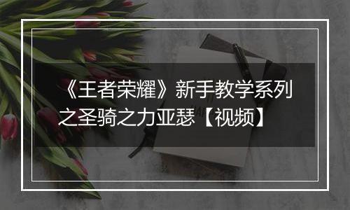 《王者荣耀》新手教学系列之圣骑之力亚瑟【视频】