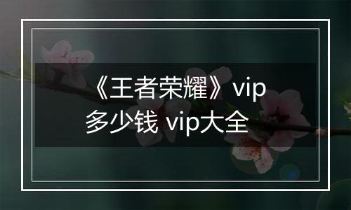《王者荣耀》vip多少钱 vip大全