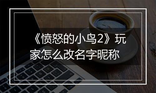 《愤怒的小鸟2》玩家怎么改名字昵称