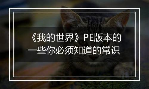 《我的世界》PE版本的一些你必须知道的常识