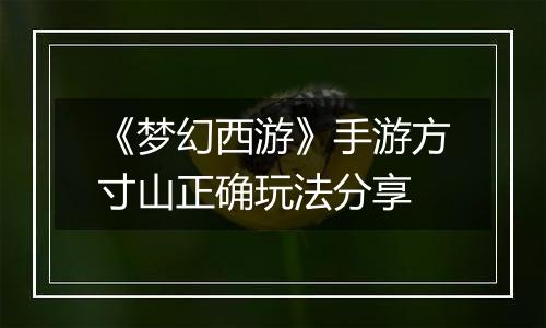 《梦幻西游》手游方寸山正确玩法分享