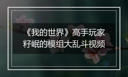 《我的世界》高手玩家籽岷的模组大乱斗视频