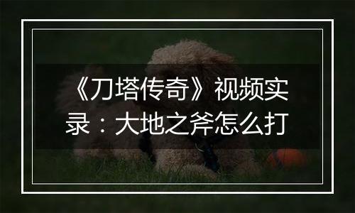 《刀塔传奇》视频实录：大地之斧怎么打