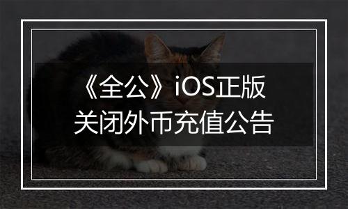 《全公》iOS正版关闭外币充值公告