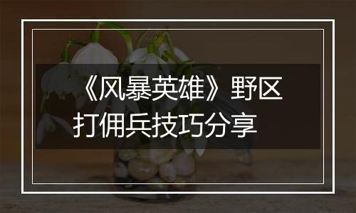 《风暴英雄》野区打佣兵技巧分享