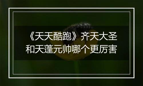 《天天酷跑》齐天大圣和天蓬元帅哪个更厉害