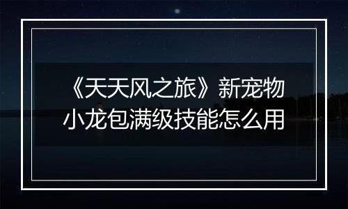 《天天风之旅》新宠物小龙包满级技能怎么用