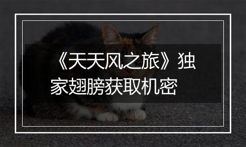 《天天风之旅》独家翅膀获取机密