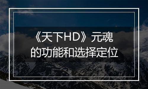 《天下HD》元魂的功能和选择定位