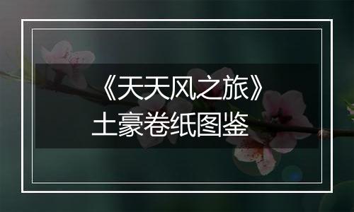 《天天风之旅》土豪卷纸图鉴