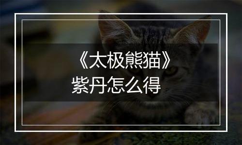 《太极熊猫》紫丹怎么得