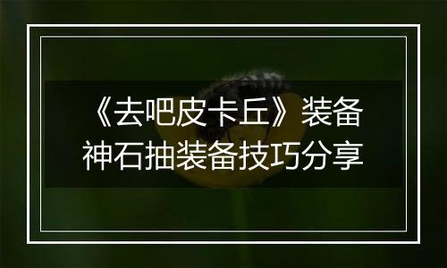 《去吧皮卡丘》装备神石抽装备技巧分享
