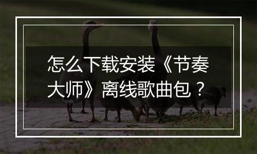 怎么下载安装《节奏大师》离线歌曲包？