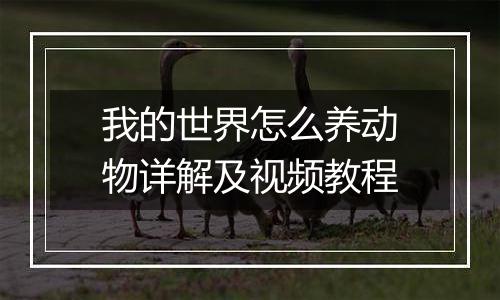 我的世界怎么养动物详解及视频教程