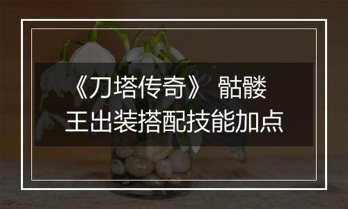 《刀塔传奇》 骷髅王出装搭配技能加点