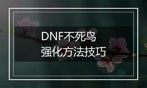 DNF不死鸟强化方法技巧