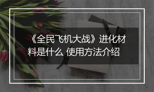 《全民飞机大战》进化材料是什么 使用方法介绍