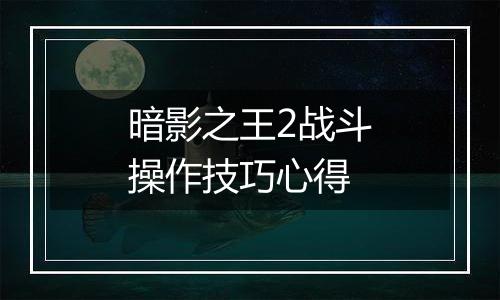 暗影之王2战斗操作技巧心得