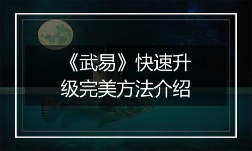 《武易》快速升级完美方法介绍