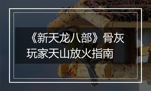 《新天龙八部》骨灰玩家天山放火指南