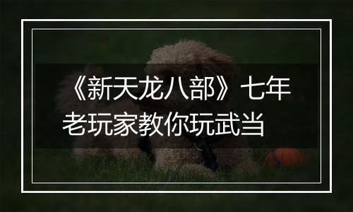 《新天龙八部》七年老玩家教你玩武当