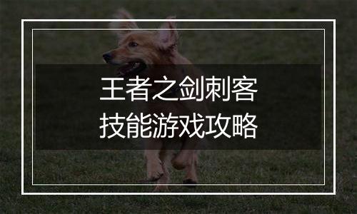 王者之剑刺客技能游戏攻略