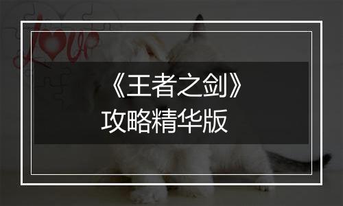 《王者之剑》攻略精华版
