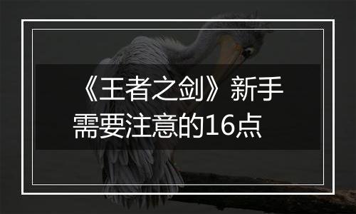 《王者之剑》新手需要注意的16点