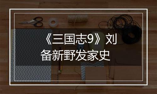 《三国志9》刘备新野发家史