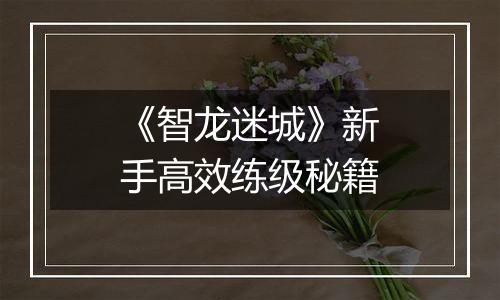 《智龙迷城》新手高效练级秘籍