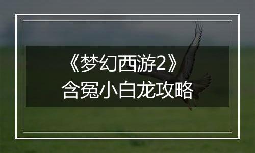 《梦幻西游2》含冤小白龙攻略