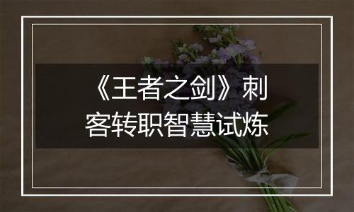 《王者之剑》刺客转职智慧试炼