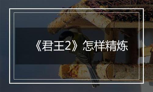 《君王2》怎样精炼
