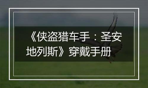 《侠盗猎车手：圣安地列斯》穿戴手册