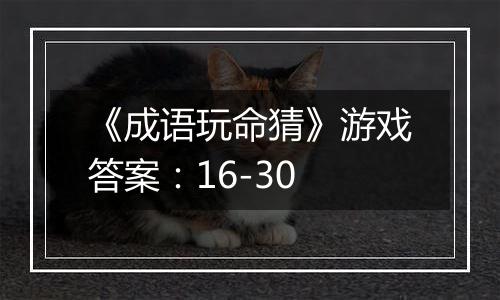 《成语玩命猜》游戏答案：16-30