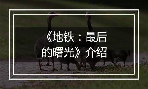 《地铁：最后的曙光》介绍