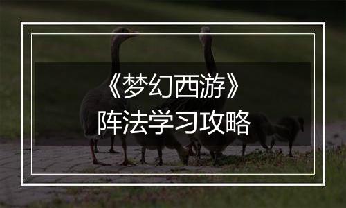 《梦幻西游》阵法学习攻略