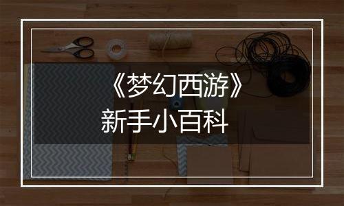 《梦幻西游》新手小百科