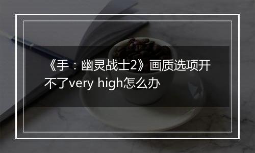 《手：幽灵战士2》画质选项开不了very high怎么办