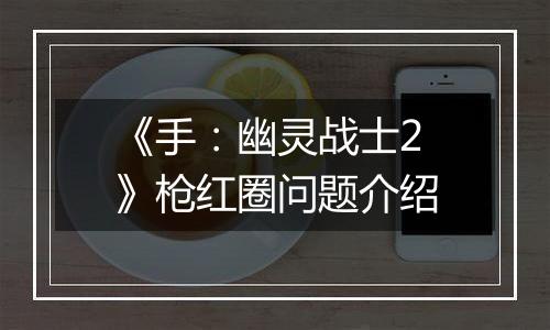 《手：幽灵战士2》枪红圈问题介绍