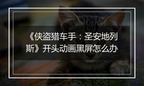 《侠盗猎车手：圣安地列斯》开头动画黑屏怎么办