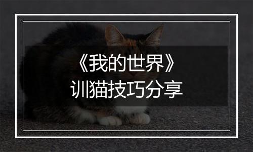 《我的世界》训猫技巧分享