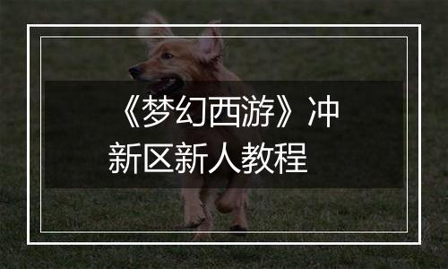 《梦幻西游》冲新区新人教程