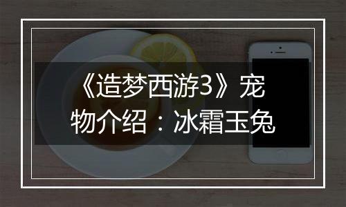 《造梦西游3》宠物介绍：冰霜玉兔